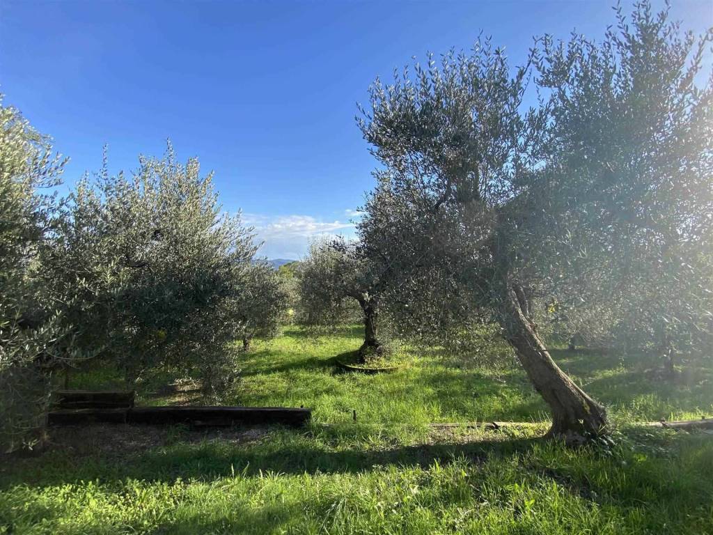 Rustico / casale a Follonica - Foto 4