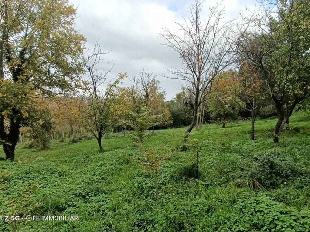 Terreno a Morrovalle in Contrada Montanari - Foto 3