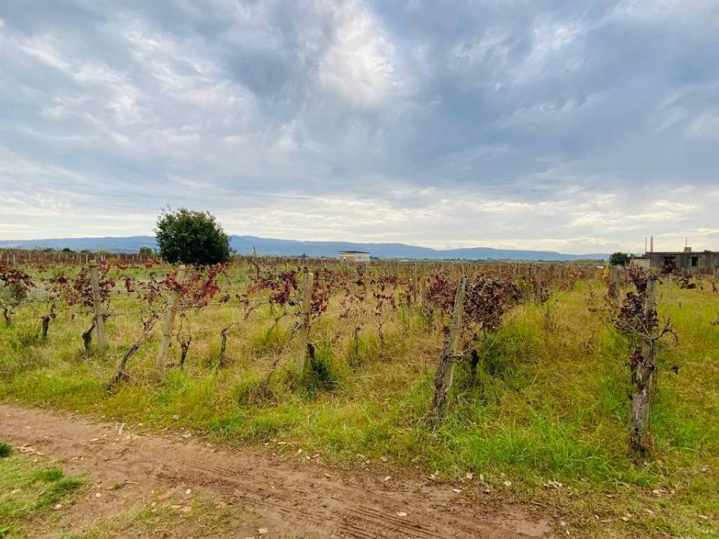 Terreno a Lamezia terme in Località Pullo - Foto 2