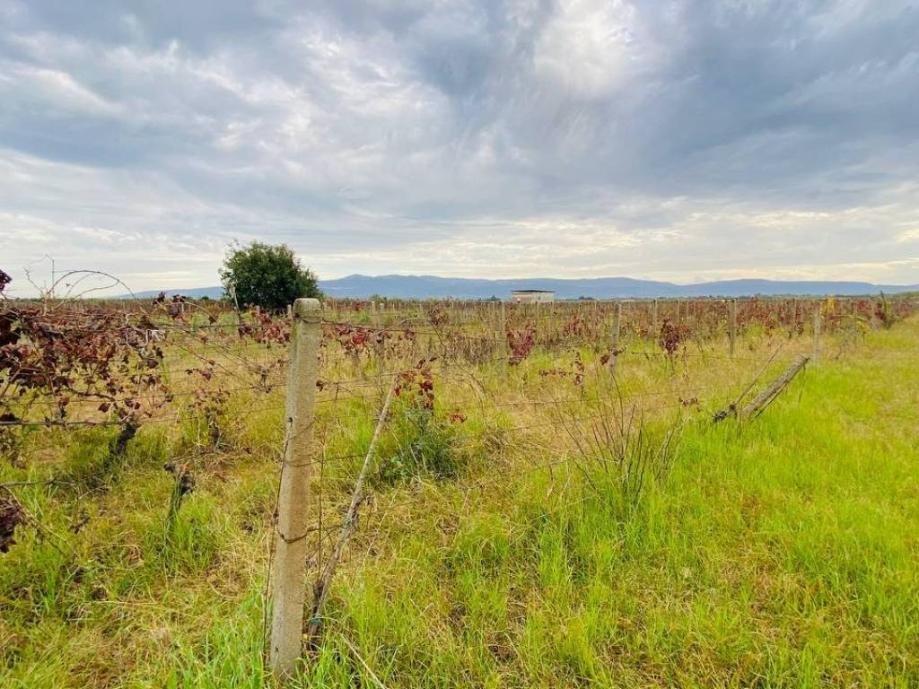 Terreno a Lamezia terme in Località Pullo - Foto 3