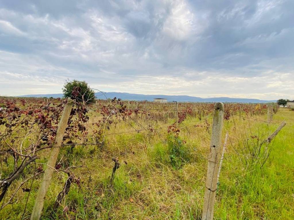 Terreno a Lamezia terme in Località Pullo - Foto 5
