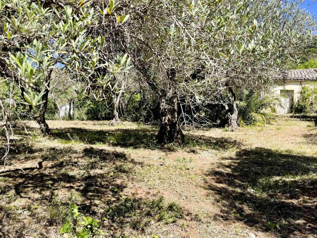 Casa indipendente a Cefalù - Foto 3