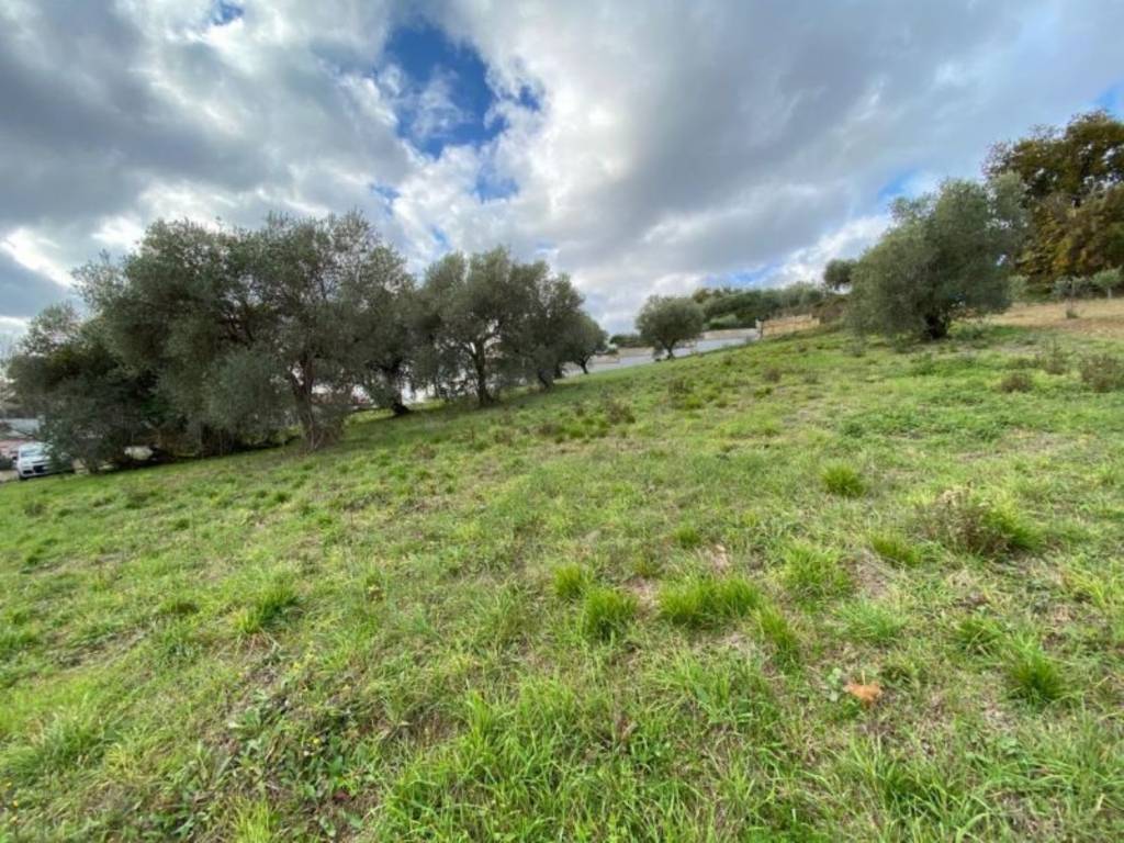 Terreno a Torrevecchia teatina in Via Palermo s.n.c - Foto 5