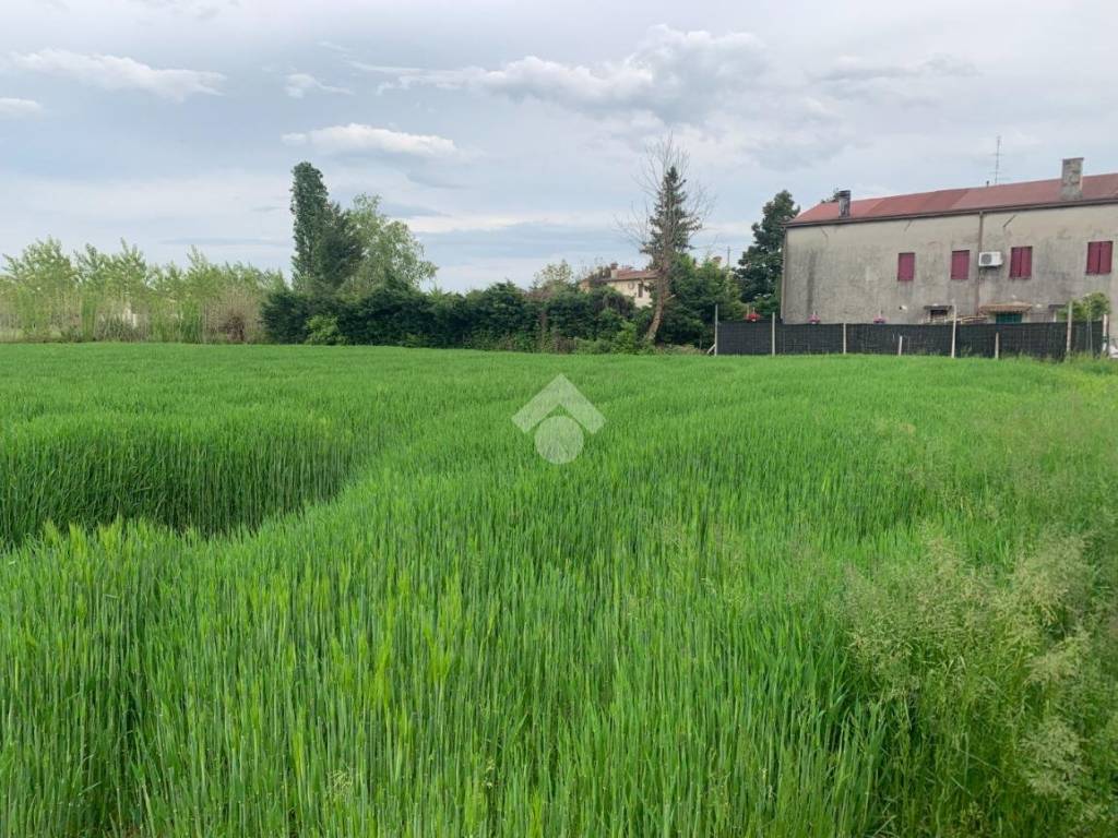 Terreno a Campodoro in Via Palazzon - Foto 2