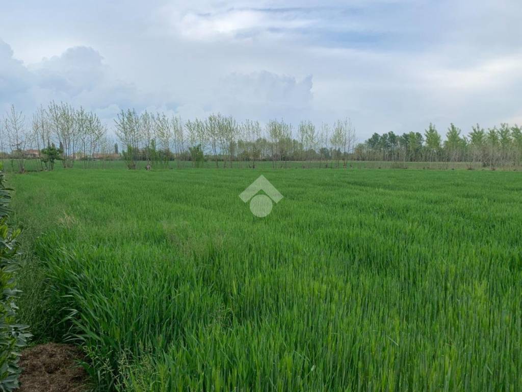 Terreno a Campodoro in Via Palazzon - Foto 5