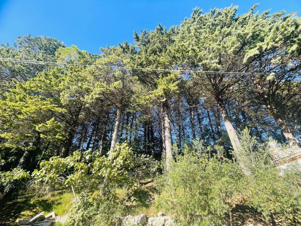 Casa indipendente a Serra san quirico in Via Clementina - Foto 2