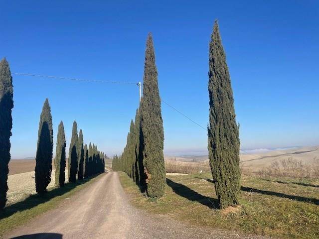 Appartamento a Monteroni d'arbia - Foto 3