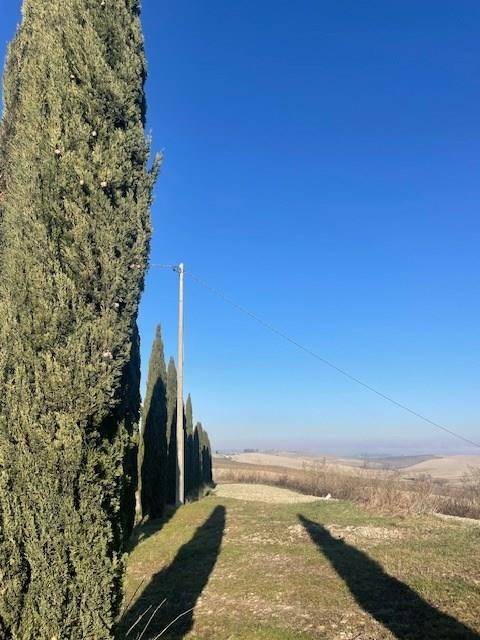 Appartamento a Monteroni d'arbia - Foto 5