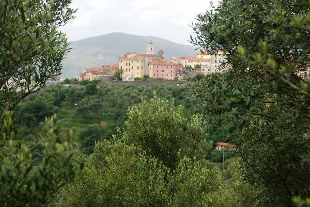 Terreno a Castelnuovo magra - Foto 5