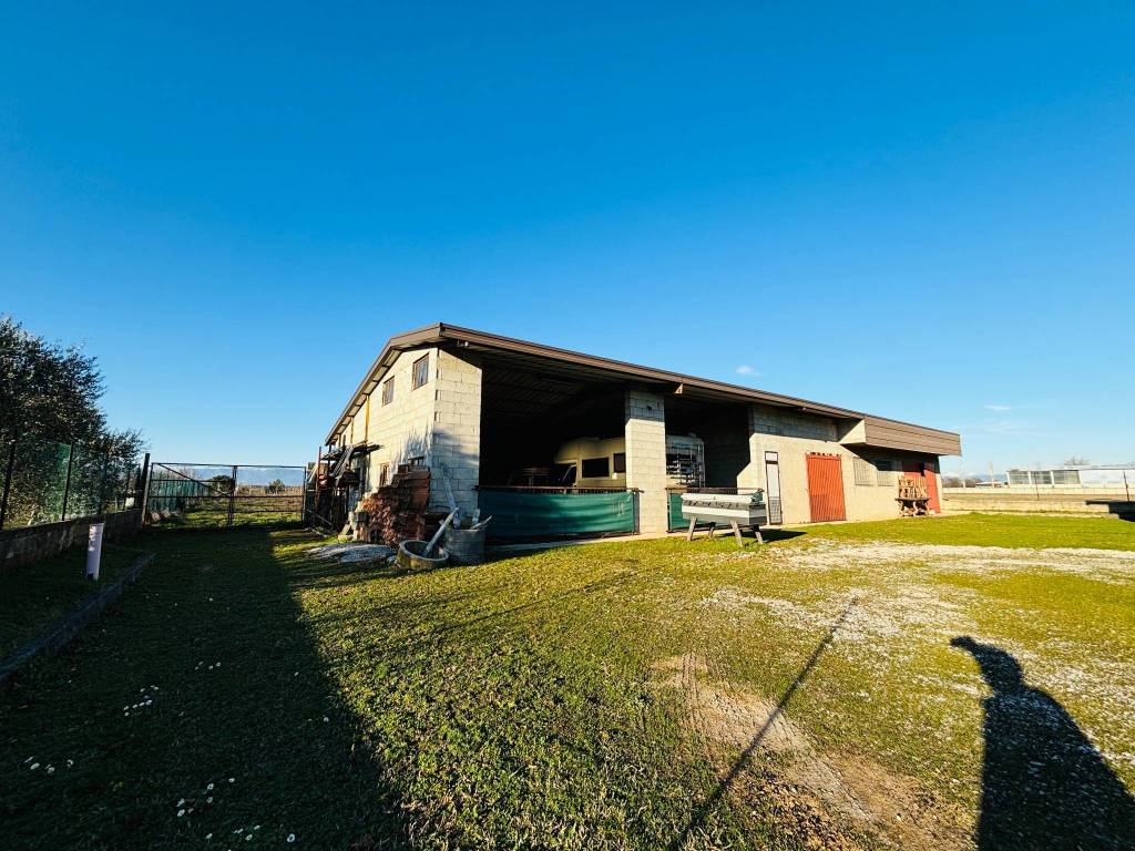 Palazzo / stabile a Mereto di tomba in Via Caterina Percoto - Foto 4