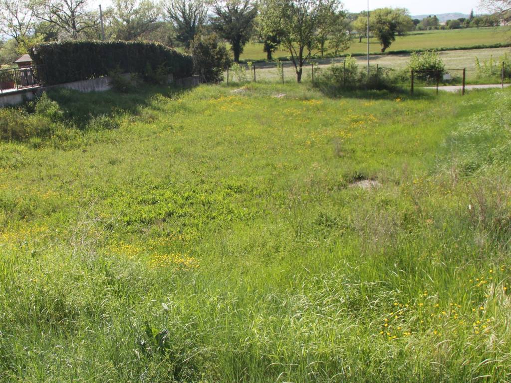 Terreno a Spoleto in Via Sandro Pertini - Foto 3