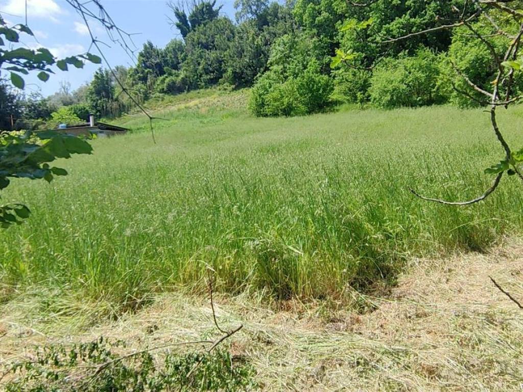 Terreno a Stimigliano - Foto 4