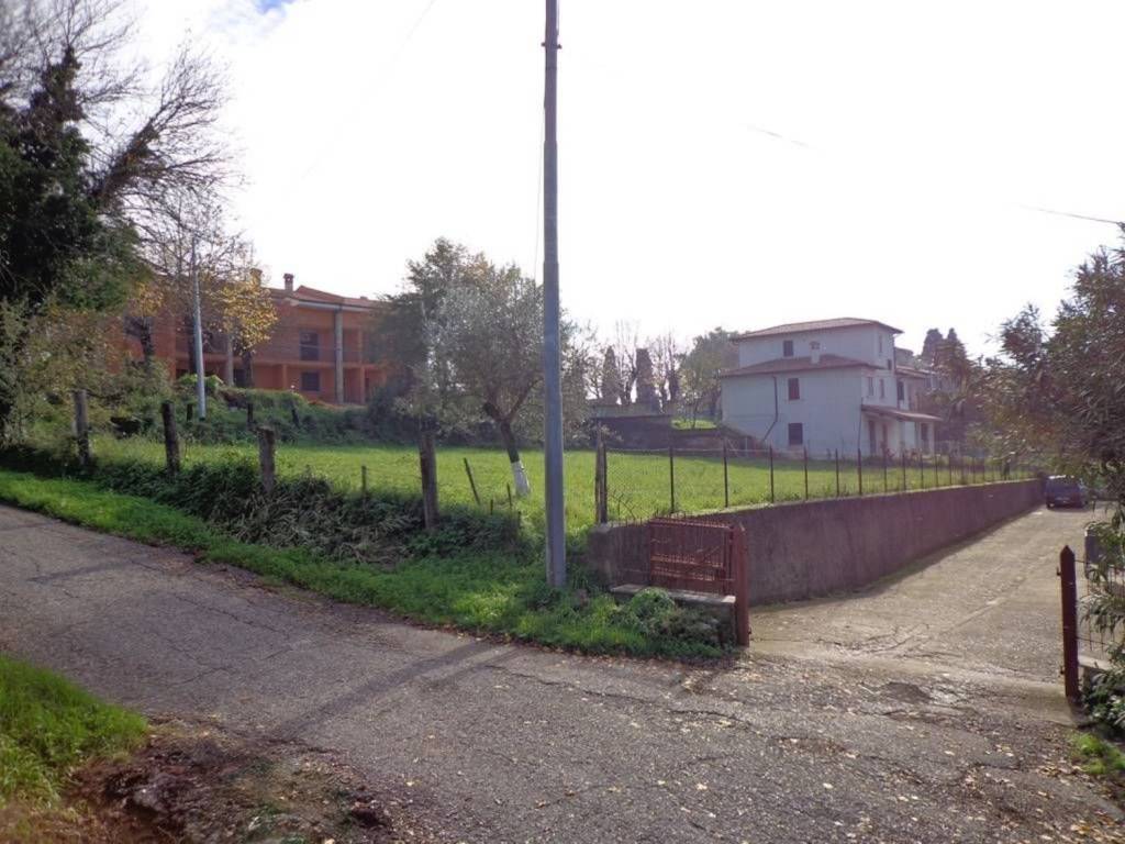 Terreno a Collevecchio - Foto 2