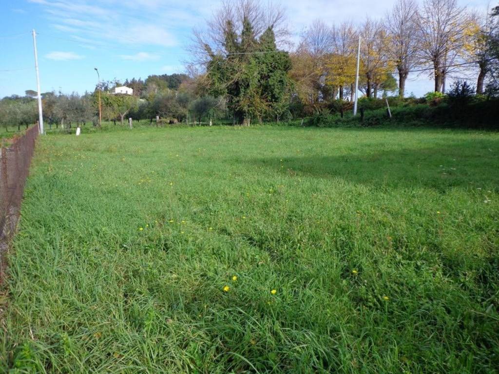 Terreno a Collevecchio - Foto 3