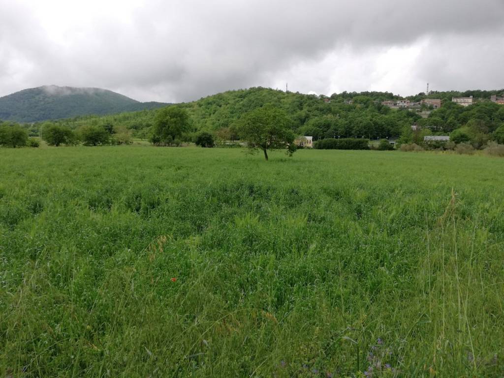 Terreno a Liberi in Via Comunale Liberi-Profeti - Foto 2