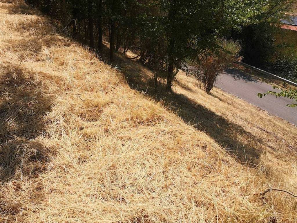 Terreno a Terranuova bracciolini - Foto 3