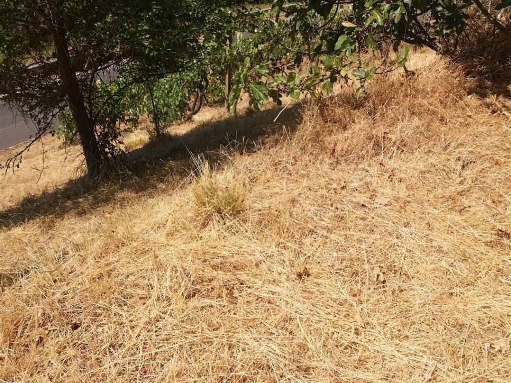 Terreno a Terranuova bracciolini - Foto 4