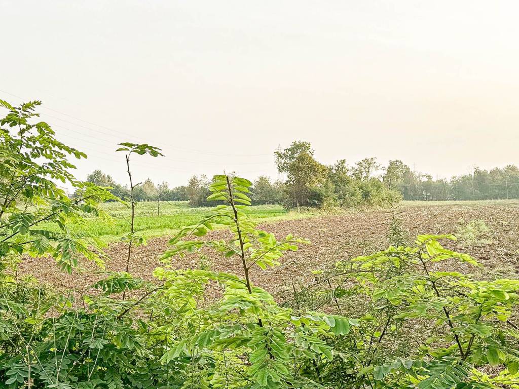 Terreno a Bedizzole in Via Campagnola - Foto 3