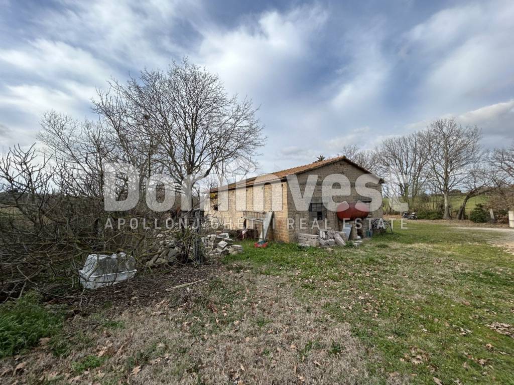 Rustico / casale a Capalbio in Strada della Sgrilla - Foto 2