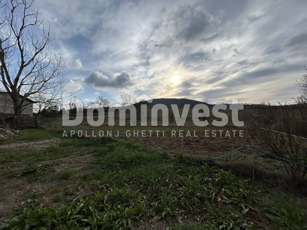 Rustico / casale a Capalbio in Strada della Sgrilla - Foto 5