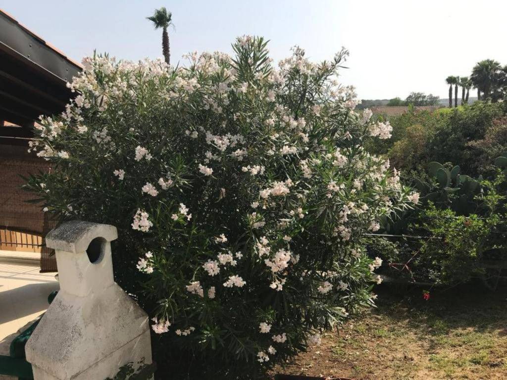 Appartamento a Ragusa in SP15, 3 - Foto 2