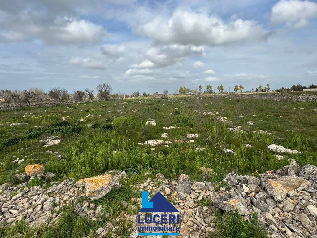 Terreno a Galatina in Strada Provinciale 47 - Foto 3