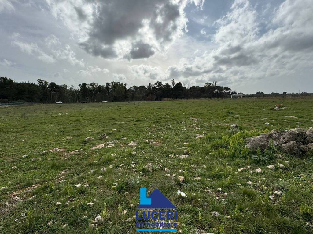 Terreno a Galatina in Strada Provinciale 47 - Foto 4