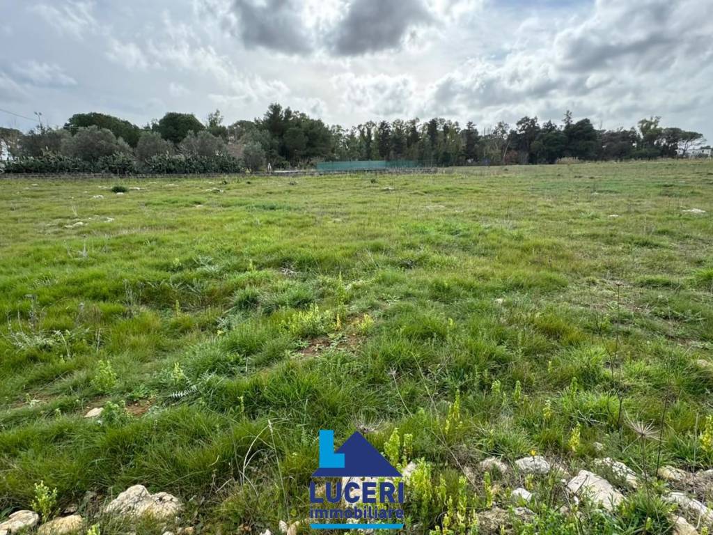 Terreno a Galatina in Strada Provinciale 47 - Foto 5