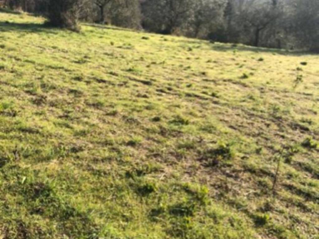 Terreno a Terni in Strada di San Rocco s.n.c - Foto 2