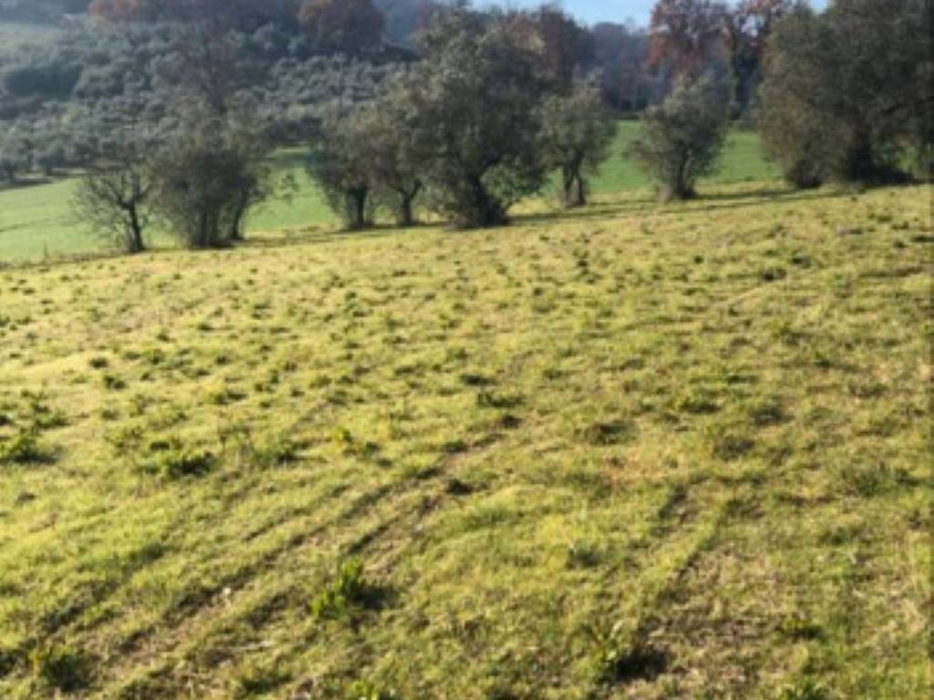 Terreno a Terni in Strada di San Rocco s.n.c - Foto 3