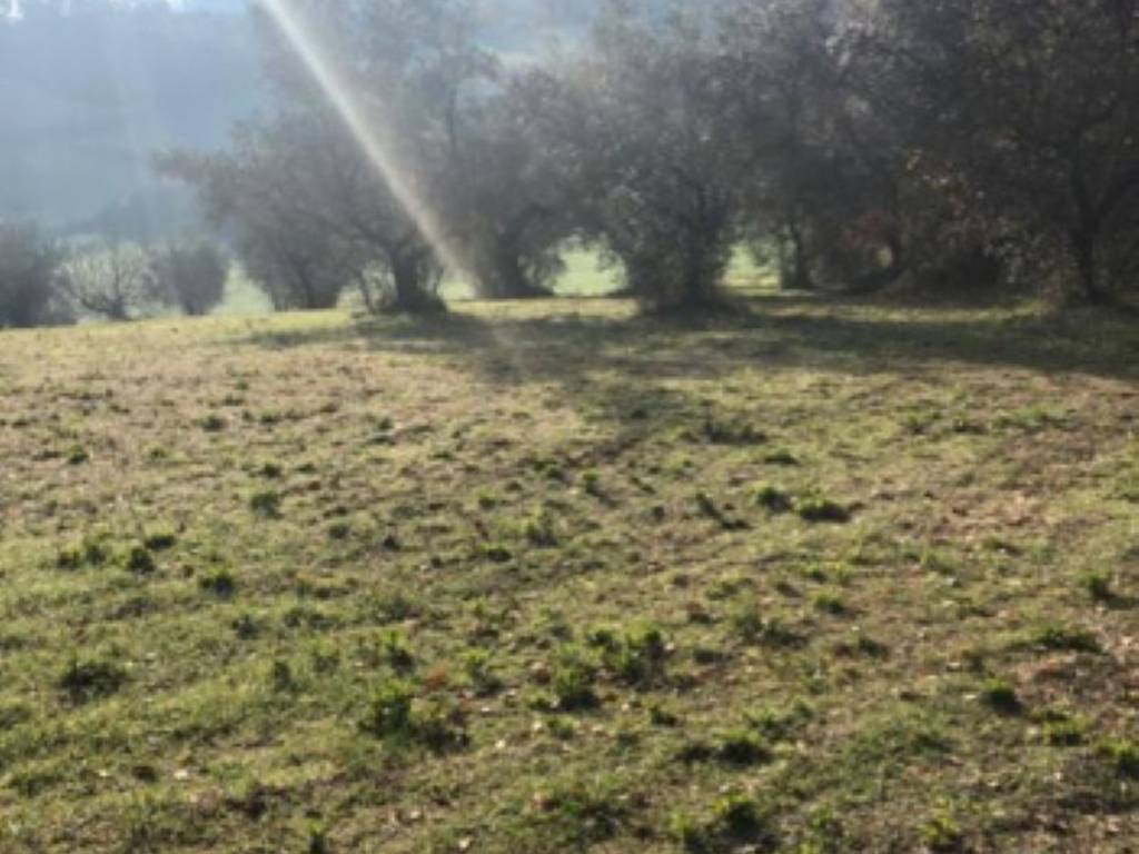 Terreno a Terni in Strada di San Rocco s.n.c - Foto 4