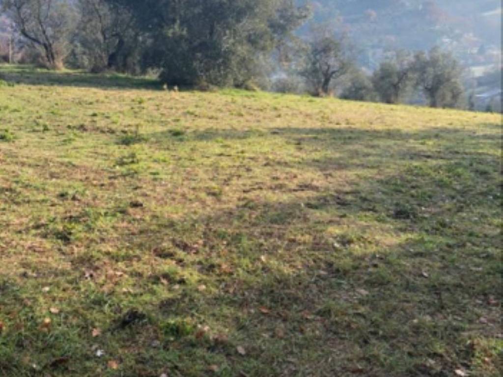 Terreno a Terni in Strada di San Rocco s.n.c - Foto 5