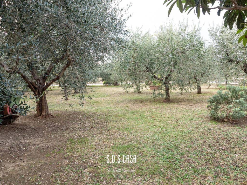Casa indipendente a Canosa sannita in Via S. Moro, 109 - Foto 4
