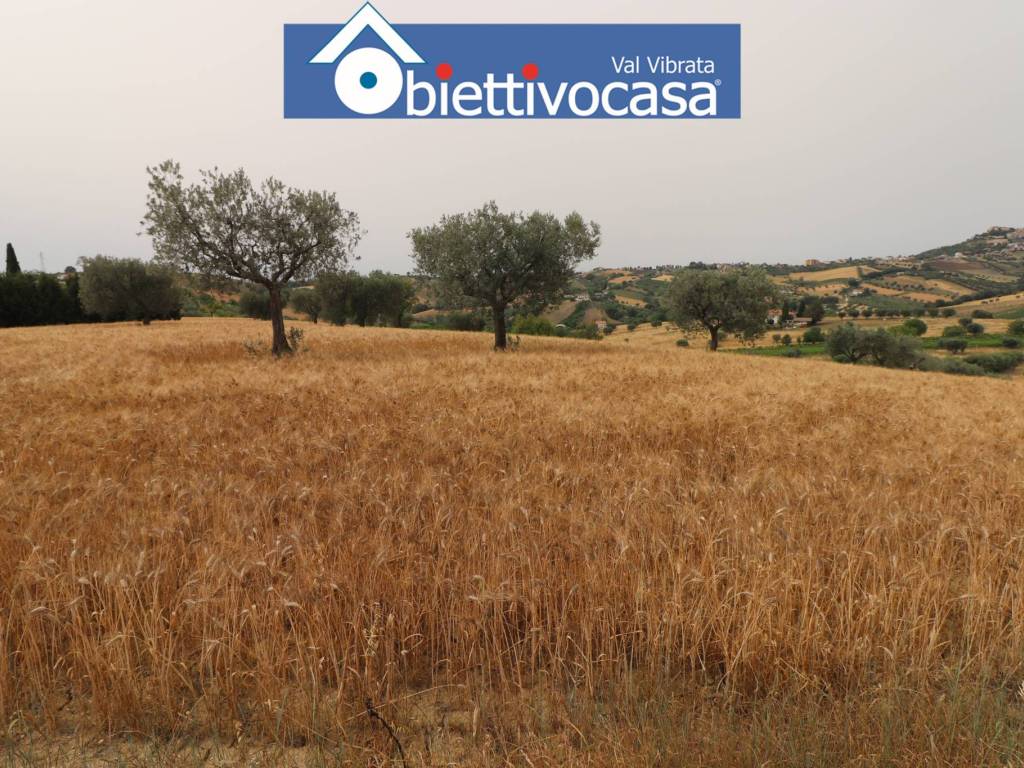 Terreno a Controguerra in Contrada Pignotto, 91 - Foto 3