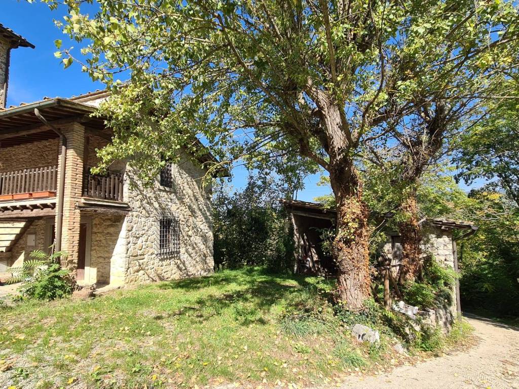 Rustico / casale a Castel san niccolò in Località Orgi - Foto 3