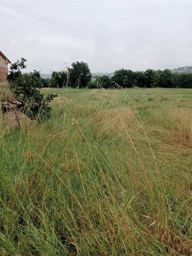 Rustico / casale a Corinaldo - Foto 2
