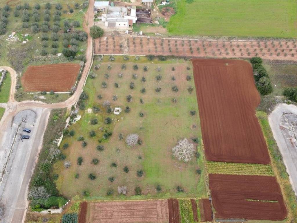 Terreno a Tricase in Strada Vicinale Santa Barbara - Foto 2