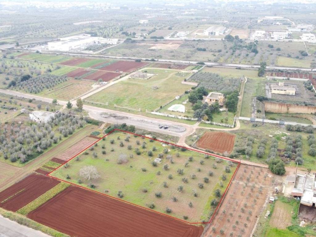 Terreno a Tricase in Strada Vicinale Santa Barbara - Foto 3