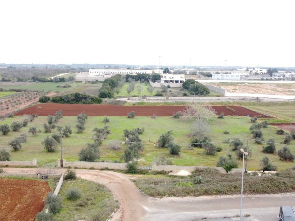 Terreno a Tricase in Strada Vicinale Santa Barbara - Foto 5