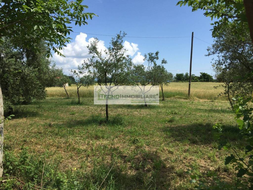 Terreno a Pontecorvo in Contrada Vallario - Foto 2