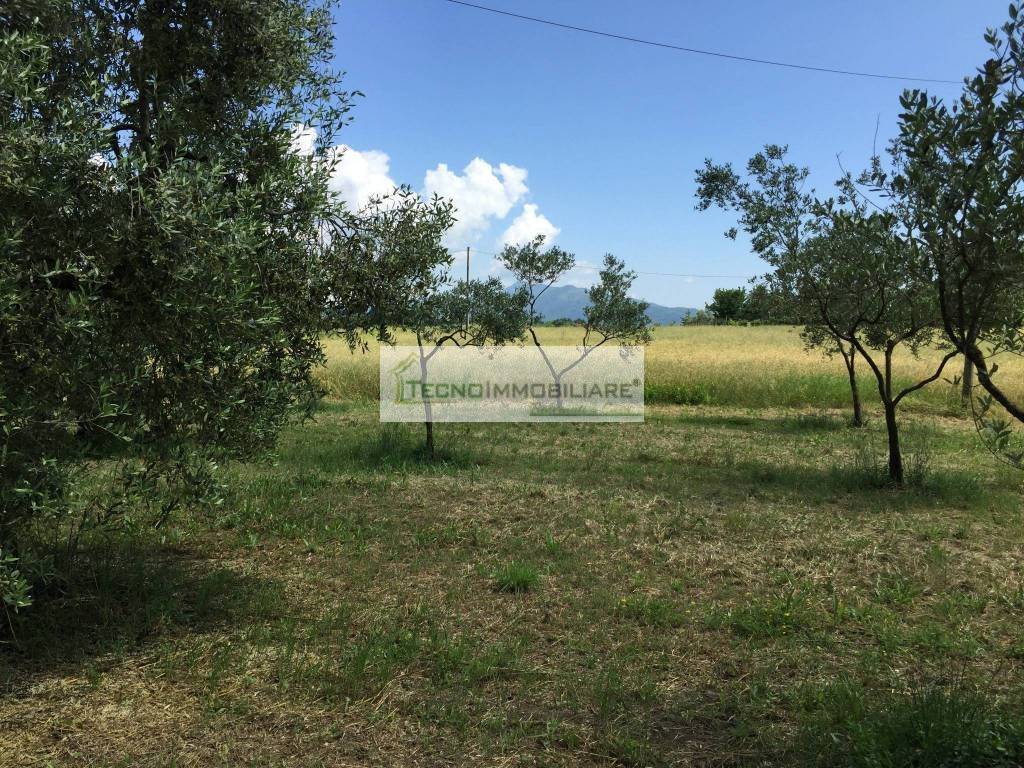 Terreno a Pontecorvo in Contrada Vallario - Foto 3
