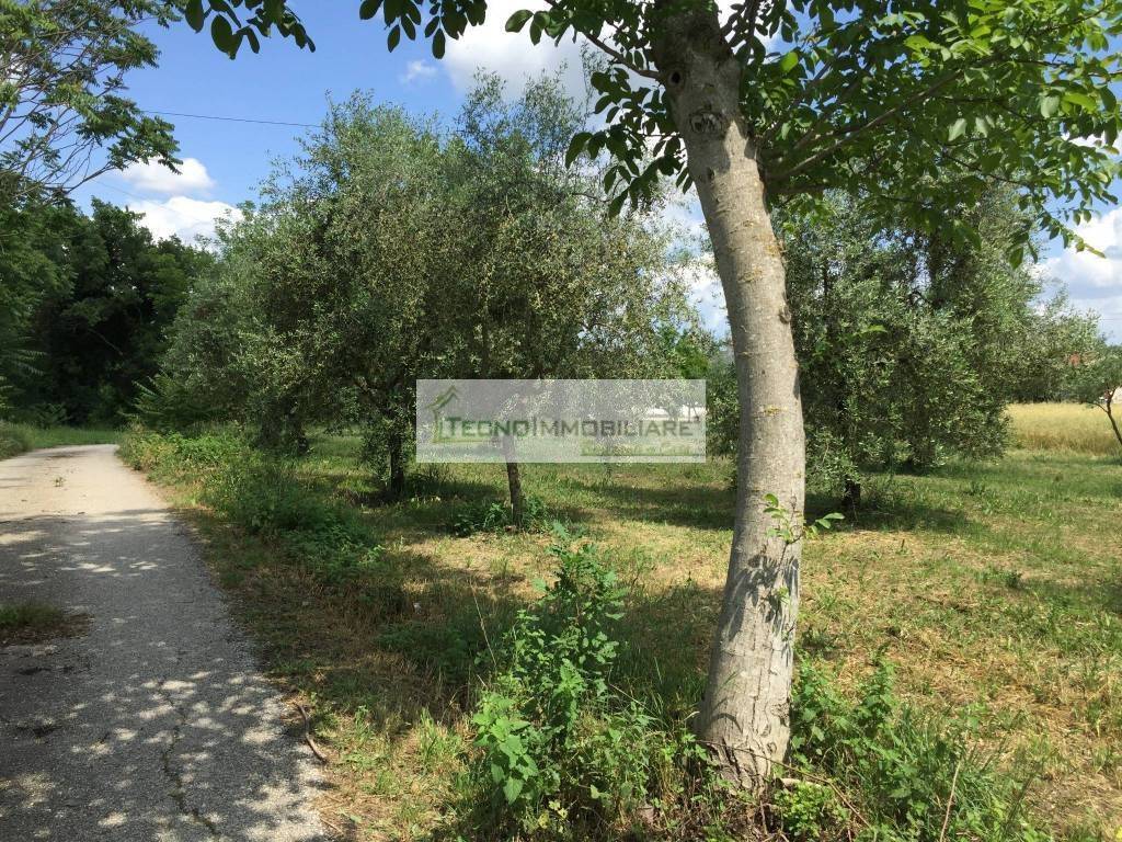 Terreno a Pontecorvo in Contrada Vallario - Foto 4