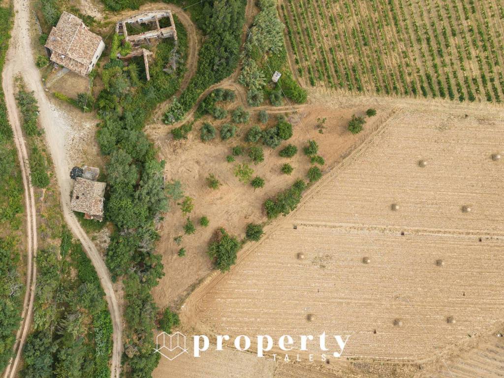 Rustico / casale a Ripatransone in Cda Castellano - Foto 2