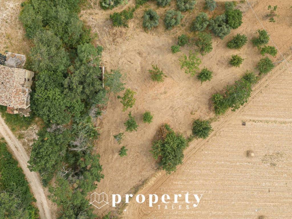 Rustico / casale a Ripatransone in Cda Castellano - Foto 4