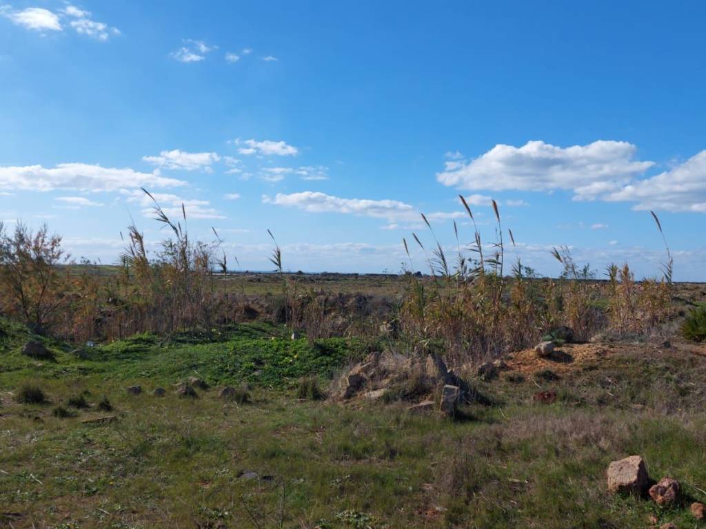 Terreno a Mazara del vallo - Foto 2