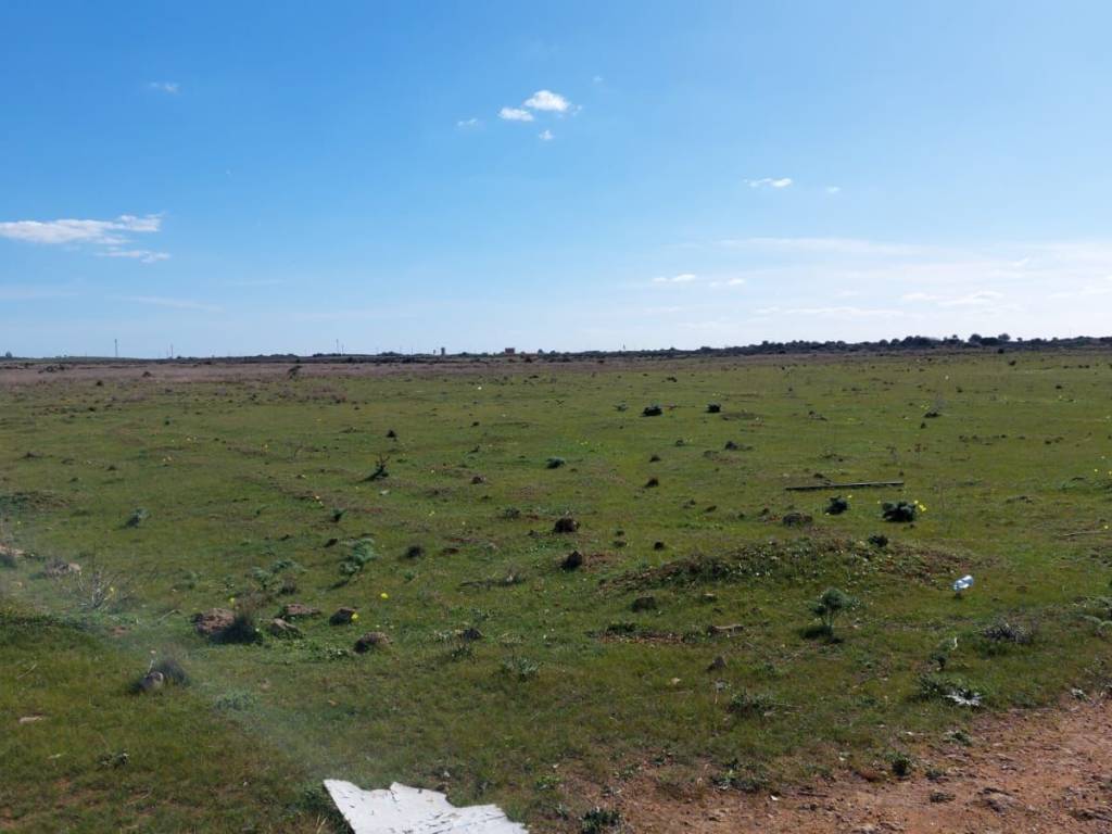Terreno a Mazara del vallo - Foto 5