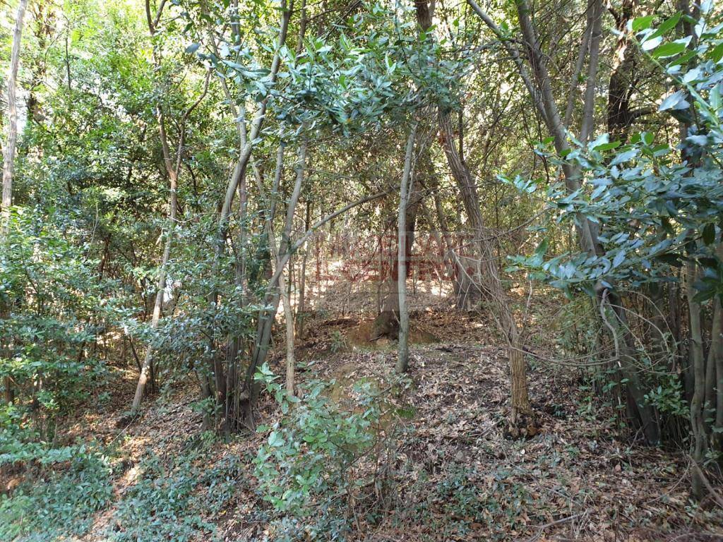 Terreno a Sarzana - Foto 3