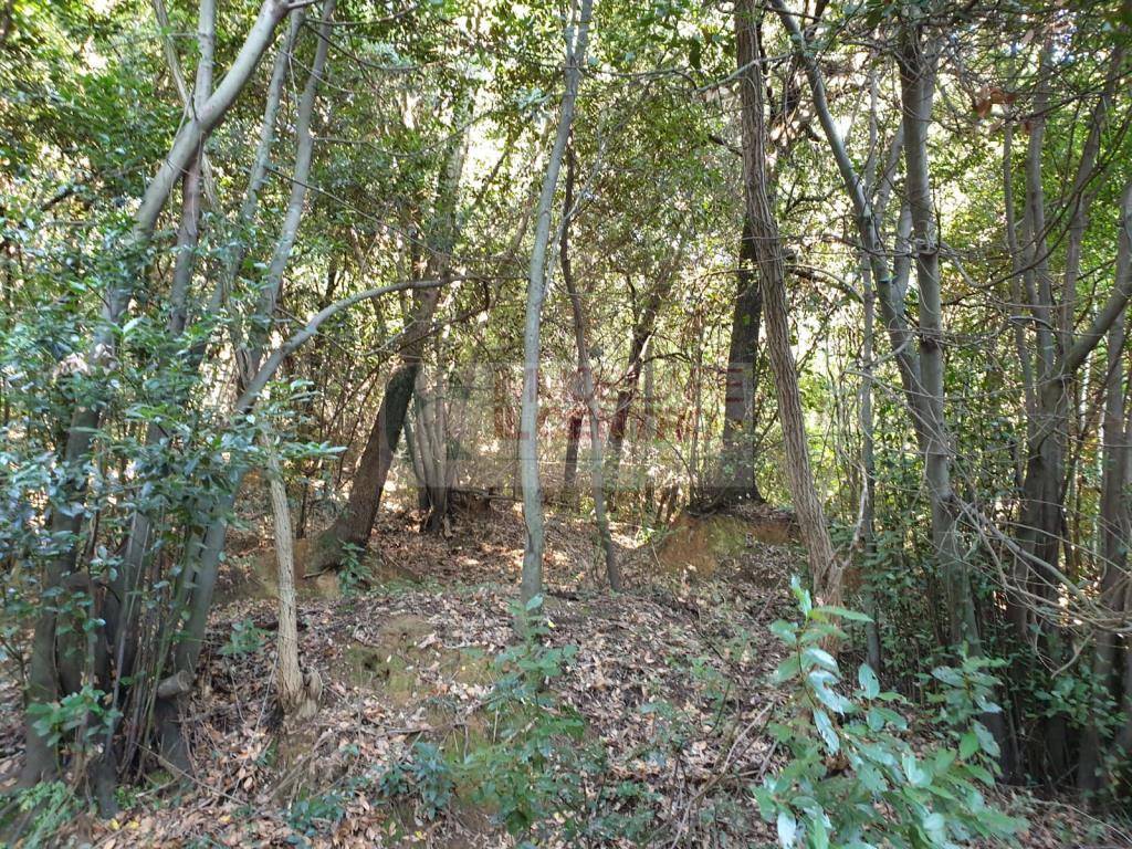 Terreno a Sarzana - Foto 4