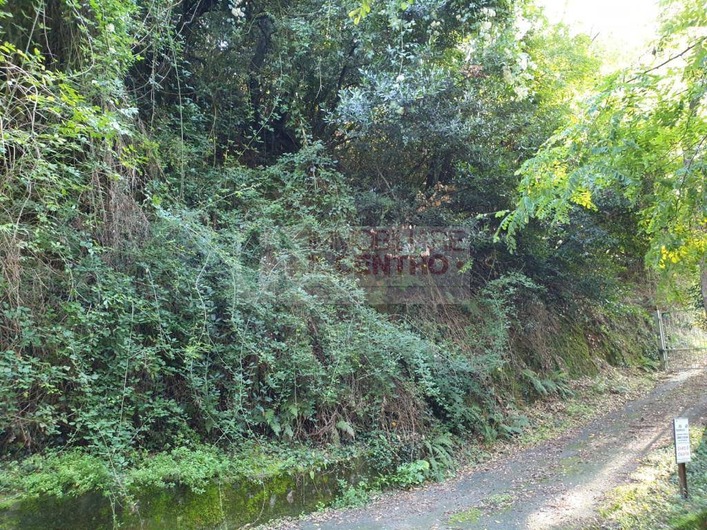 Terreno a Sarzana - Foto 5