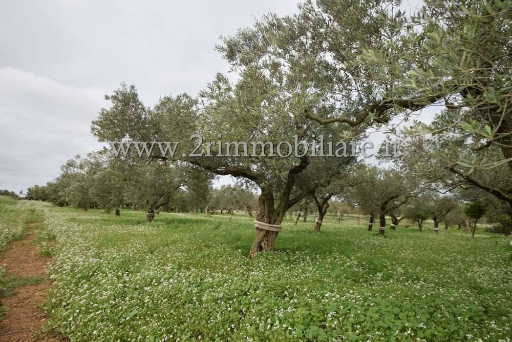 Terreno a Mazara del vallo in Via Giuffo - Foto 2